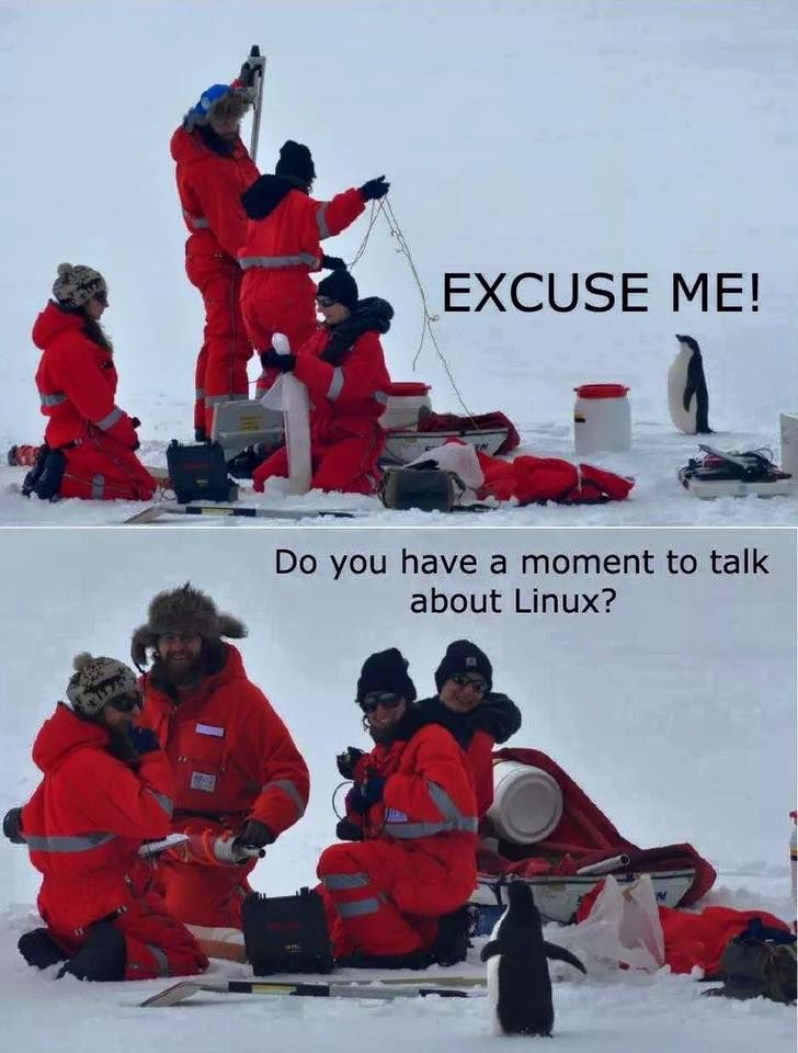 No VM guests are running outdated hypervisor (qemu) binaries on this host.